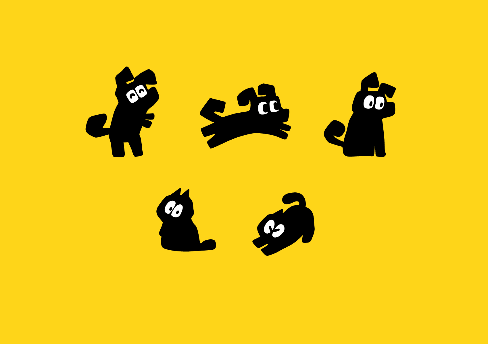 PET PET dog and cat graphic